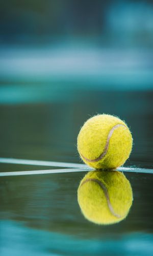 todd-trapani-sI-p_NLBNr0-unsplash